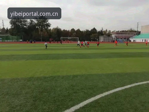 揭秘易倍体育赛事数据对比站：决策力背后的理性引擎